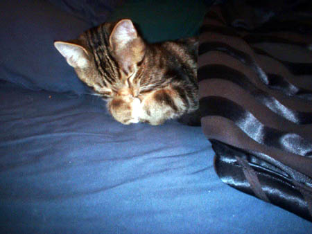 asleep