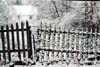 fencesnow