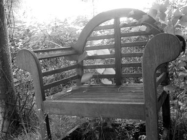 cl_chair