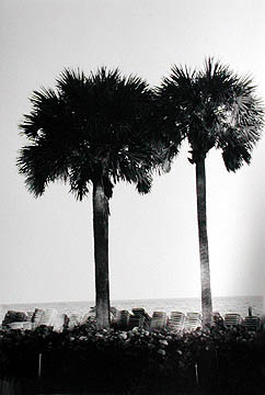 fla1