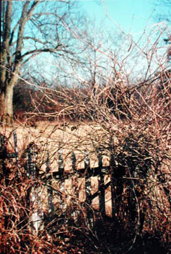 adda-03_fence